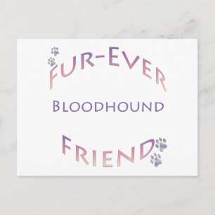 Carte Postale Bloodhound Furever