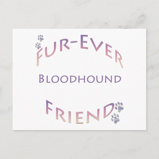 Carte Postale Bloodhound Furever (Devant)