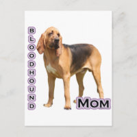 Bloodhound Maman 4