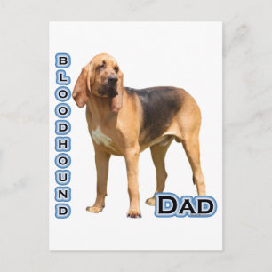 Carte Postale Bloodhound Papa 4