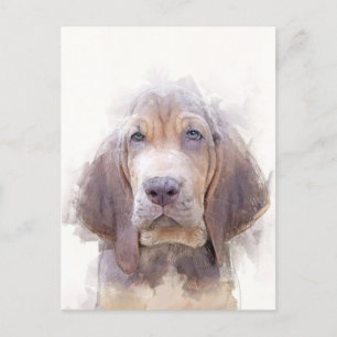 Carte Postale Bloodhound Puppy Portrait