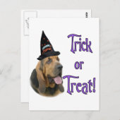 Carte Postale Bloodhound Trick (Devant / Derrière)