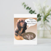 Carte Postale Bloodhound Turkey (Debout devant)