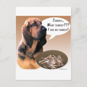 Carte Postale Bloodhound Turkey