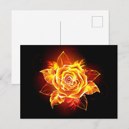 Carte Postale Blooming Fire Rose (Devant / Derrière)