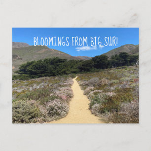 Carte Postale Bloomings de Big Sur !