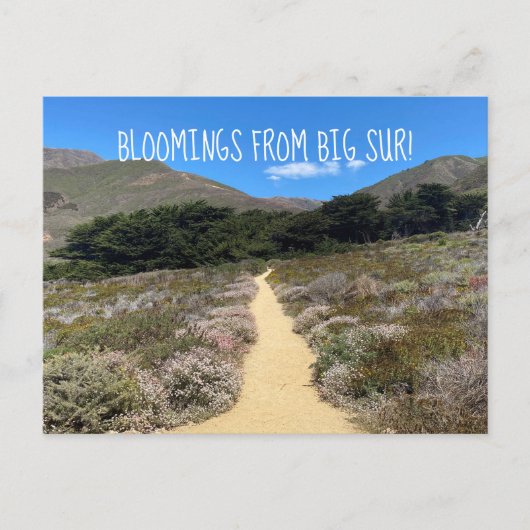 Carte Postale Bloomings de Big Sur ! (Devant)
