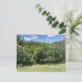 Carte Postale Bloomings de Californie : Buckeyes (Debout devant)