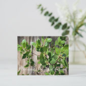 Carte Postale Bloomings de Californie : Greenleaf Manzanita (Debout devant)