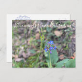 Carte Postale Bloomings de Californie : la langue de Pacific Hou (Devant / Derrière)
