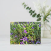 Carte Postale Bloomings de Californie : Pacific Coast Iris Post (Debout devant)