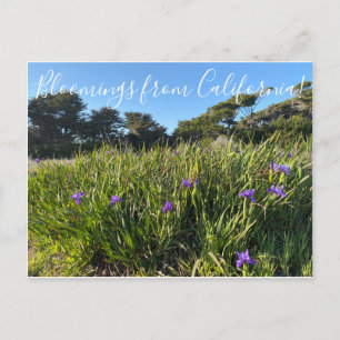 Carte Postale Bloomings de Californie : Pacific Coast Irises Po