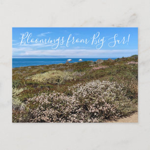 Carte Postale Bloomings de Californie : Sarrasin de Sea Cliff