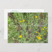 Carte Postale Bloomings de Californie : Telegraph Flowers Postc (Devant / Derrière)