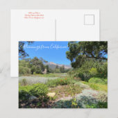 Carte Postale Bloomings de Californie : Western Columbine (Devant / Derrière)