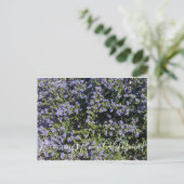 Carte Postale Bloomings from California ! : Californie Lilac (Debout devant)