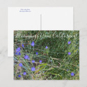 Carte Postale Bloomings from California : la Spear d'Ithuriel (Devant / Derrière)