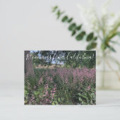 Carte Postale Bloomings of California : Heuchera 'Rosada' (Debout devant)