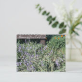 Carte Postale Bloomings of California : Sage Poppies (Debout devant)