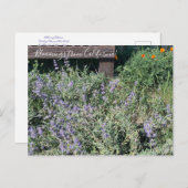 Carte Postale Bloomings of California : Sage Poppies (Devant / Derrière)