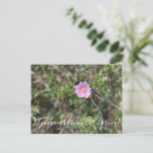 Carte Postale Bloomings of California : Wild Rose Postcard (Debout devant)