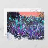 Carte Postale Blooms du désert (Devant / Derrière)