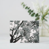 Carte Postale Blooms noirs et blancs (Debout devant)