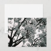 Carte Postale Blooms noirs et blancs (Devant / Derrière)