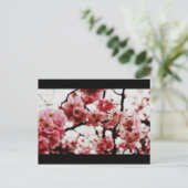 Carte postale Blossom (Debout devant)