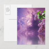 Carte postale Blossom (Devant / Derrière)