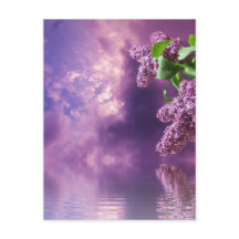 Carte postale Blossom