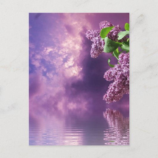 Carte postale Blossom (Devant)