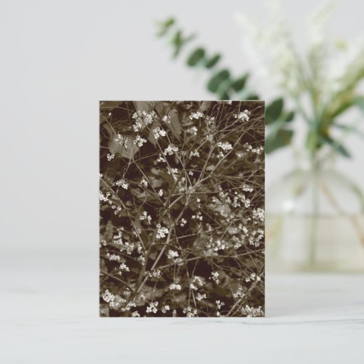 Carte Postale Blossom (Debout devant)