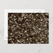 Carte Postale Blossom (Devant / Derrière)