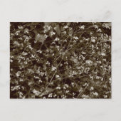 Carte Postale Blossom (Devant)