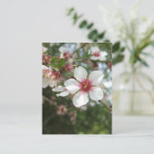 Carte postale Blossom (Debout devant)