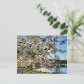 Carte Postale Blossom (Debout devant)