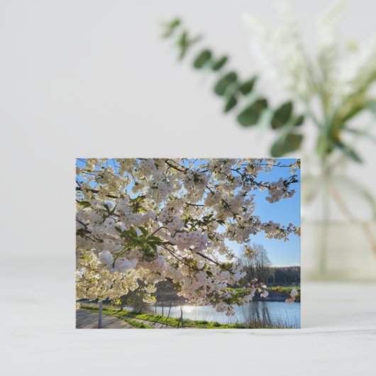 Carte Postale Blossom (Debout devant)