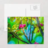 Carte Postale Blossom à l'intérieur (Devant / Derrière)