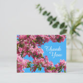 Carte Postale Blossom and Blue Sky Thank You (Debout devant)