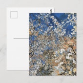 CARTE POSTALE BLOSSOM D'ARBRE (Devant / Derrière)