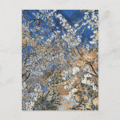 CARTE POSTALE BLOSSOM D'ARBRE (Devant)