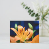 Carte Postale Blossom orange Lilly (Debout devant)