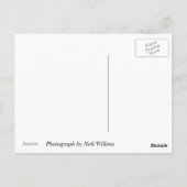 Carte Postale Blossoms de Georgetown University, Washington, DC (Dos)