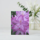 Carte Postale Blossoms pourpres (Debout devant)