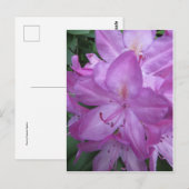 Carte Postale Blossoms pourpres (Devant / Derrière)