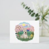 Carte Postale Blossoms - Scottish Terrier roux (Debout devant)