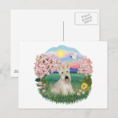 Carte Postale Blossoms - Scottish Terrier roux (Devant / Derrière)