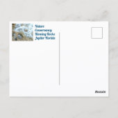 Carte Postale Blowing Rocks Jupiter FL Photographique (Dos)