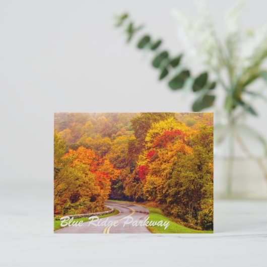 Carte Postale blue (Debout devant)